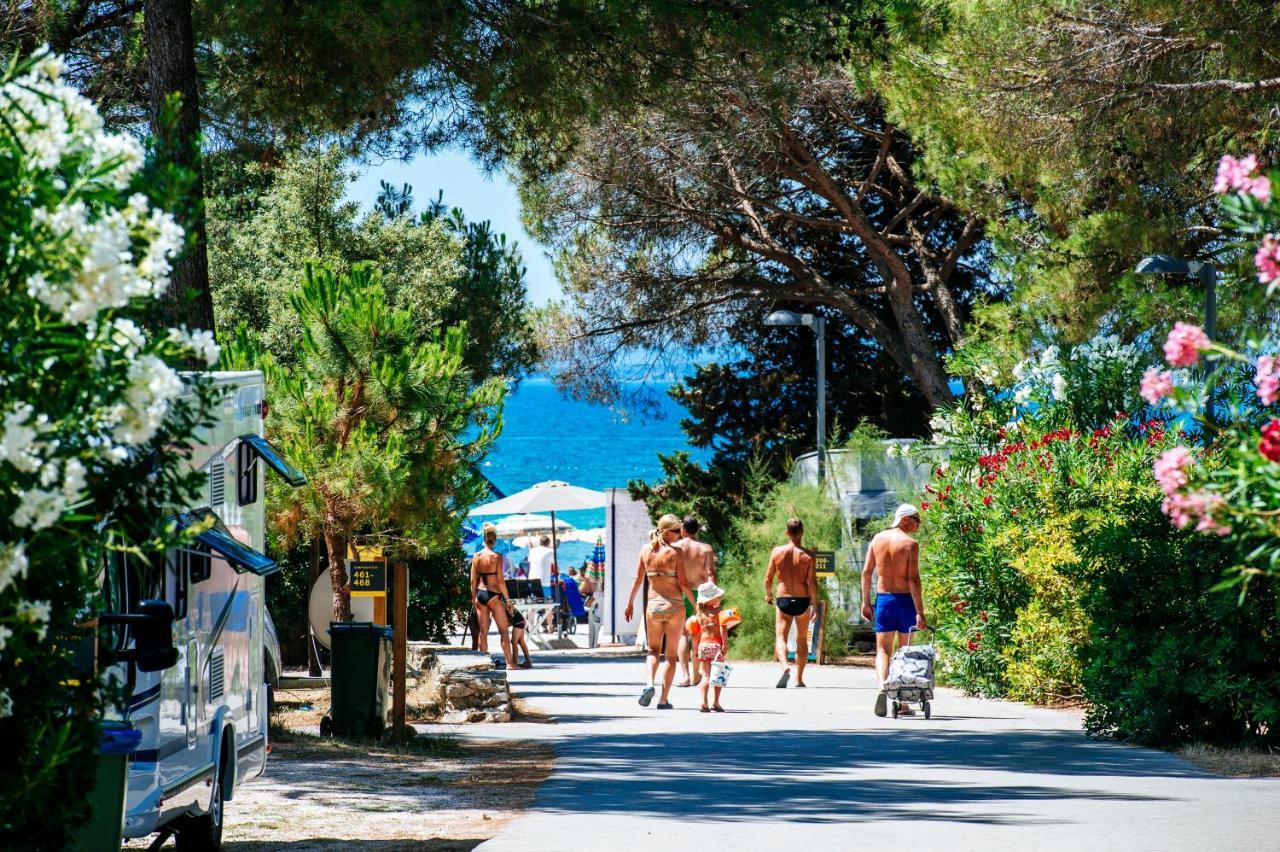 Salve Croatia Mobile Homes In Zaton Holiday Resort Екстериор снимка